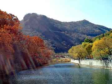 澳门天天开奖免费资料，天狮空气净化器